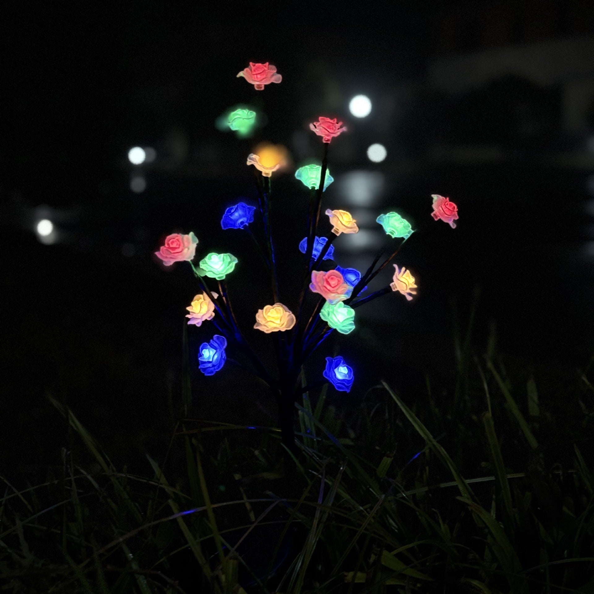 Outdoor Solar Decorative Garden Lights