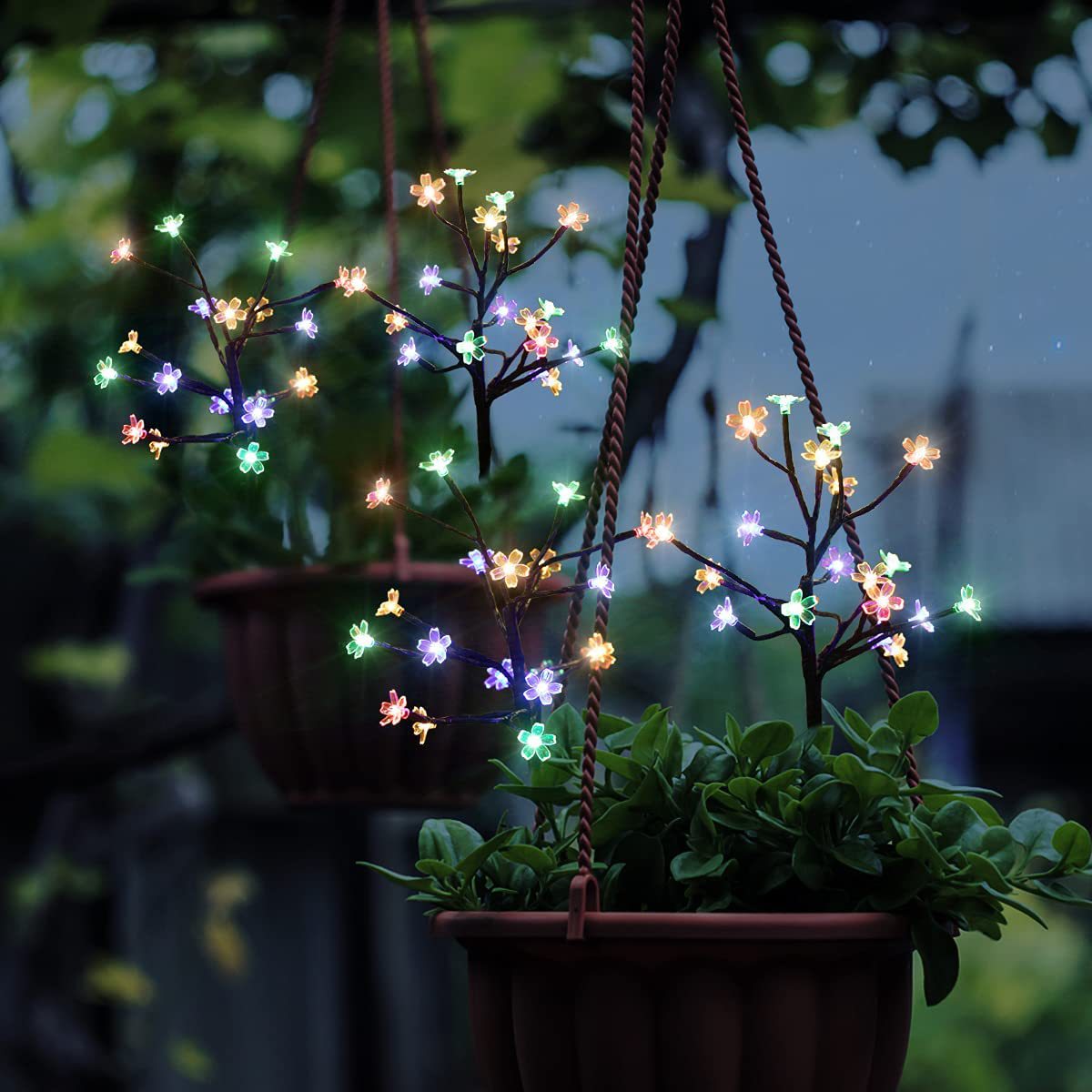 Outdoor Solar Decorative Garden Lights